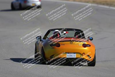 media/Nov-19-2023-Extreme Speed (Sun) [[bd0eec5490]]/Purple/Back Shots/